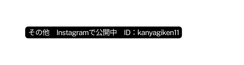 その他 Instagramで公開中 ID kanyagiken11